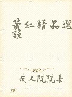 萧红精品选 小说封面