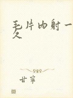 毛片内射一次久久