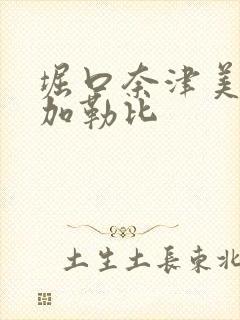 堀口奈津美av加勒比