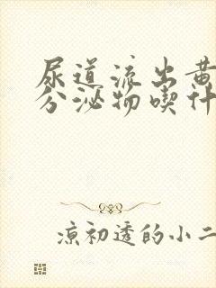 尿道流出黄脓状分泌物吃什么药