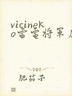 vicineko雷电将军原神同人