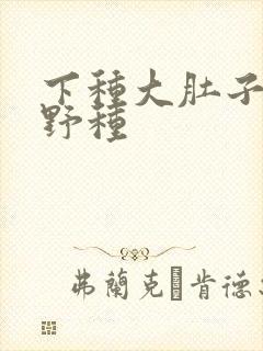 下种大肚子怀孕野种