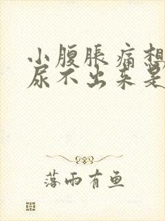 小腹胀痛想尿又尿不出来是怎么回事