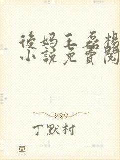 后妈王磊杨晓芬小说免费阅读