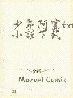 少年阿宾txt小说下载