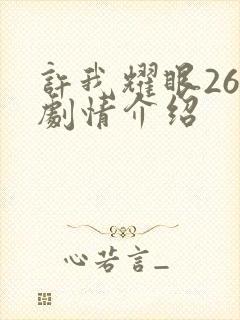 许我耀眼26集剧情介绍