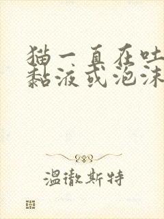 猫一直在吐白色黏液或泡沫