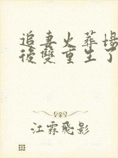 追妻火葬场he后双重生了小说