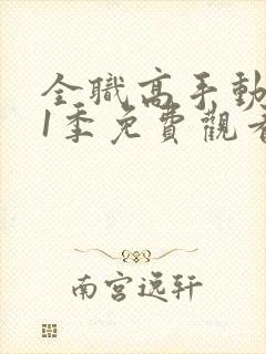 全职高手动漫第1季免费观看