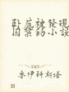 卧底被发现后 囚禁的小说