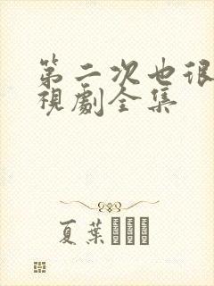 第二次也很美电视剧全集封面