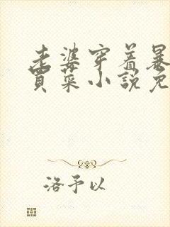 老婆穿着暴露去买菜小说免费阅读芷封面