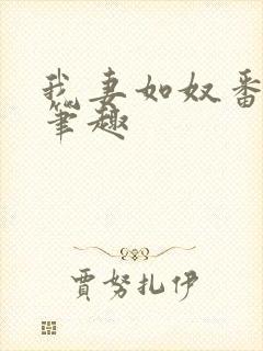 我妻如奴番外篇笔趣