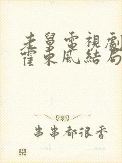 老舅电视剧里的霍东风结局封面