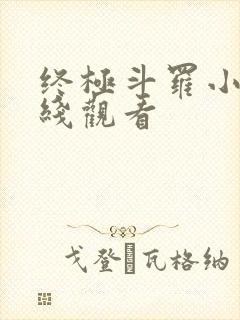 终极斗罗小说在线观看