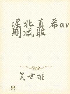 堀北真希av无删减版封面