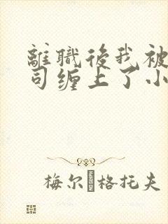 离职后我被前上司缠上了小说在线阅读