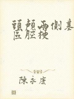 头颅两侧基底节区腔梗