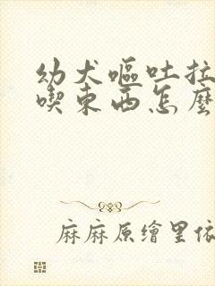 幼犬呕吐拉稀不吃东西怎么办