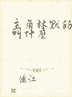 主角林默的小说叫什么