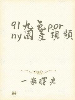 91九色porny国产视频在线