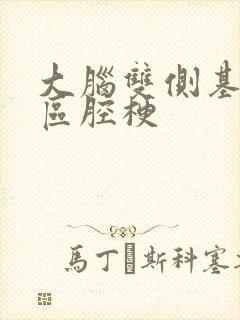 大脑双侧基底节区腔梗封面