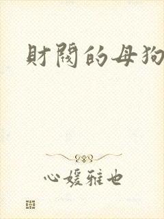 财阀的母狗们