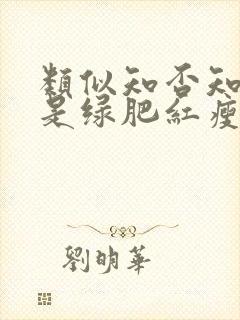 类似知否知否应是绿肥红瘦的小说