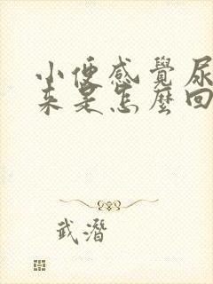 小便感觉尿不出来是怎么回事封面