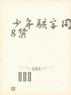 少年骇客同人18禁封面