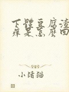 下体豆腐渣还瘙痒是怎么回事