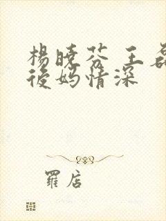 杨晓芬 王磊 后妈情深