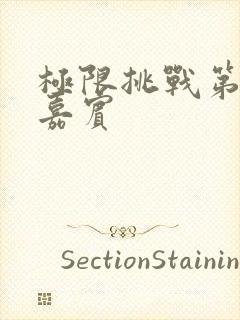 极限挑战第五季嘉宾