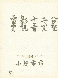 电影十二公民免费观看完整版