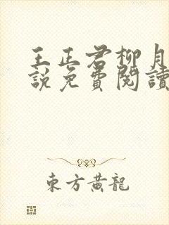 王正君柳月瑶小说免费阅读最新章节