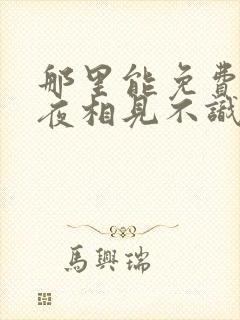 那里能免费看夜夜相见不识君短剧