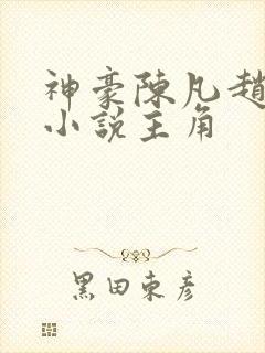 神豪陈凡赵琳琳小说主角