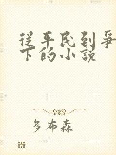 从平民到争霸天下的小说