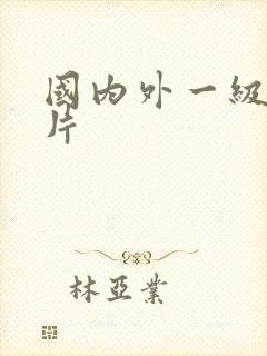 国内外一级黄色片