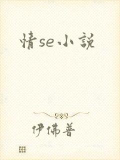 情se小说