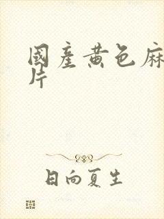 国产黄色麻豆汇片