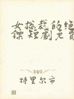 女总裁的绝世保镖 短剧免费