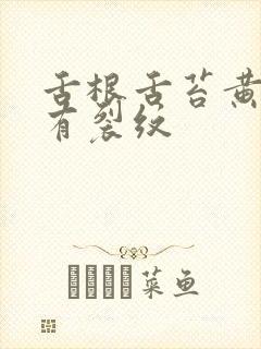 舌根舌苔黄厚腻有裂纹封面