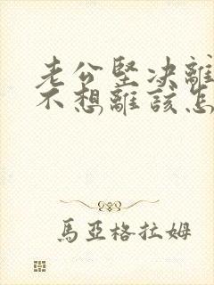 老公坚决离婚我不想离该怎样办