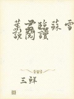 叶君临苏雪儿小说阅读