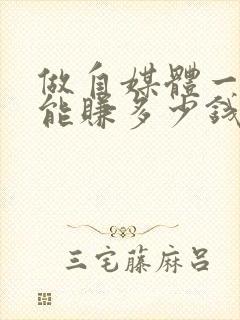 做自媒体一个月能赚多少钱