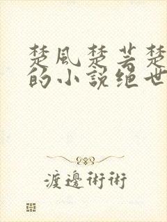 楚风楚芸楚鸿飞的小说绝世神皇