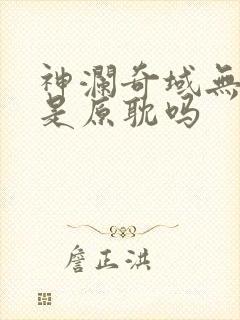 神澜奇域无双珠是原耽吗