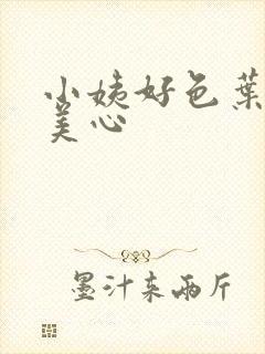 小姨好色叶凡林美心封面