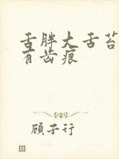 舌胖大舌苔厚黄有齿痕